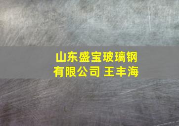 山东盛宝玻璃钢有限公司 王丰海